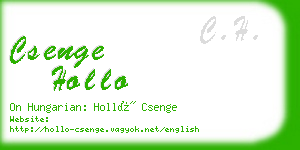csenge hollo business card